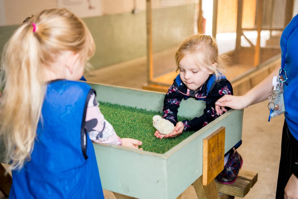 Nursery 2024 (37)